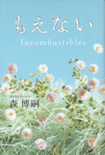 incombustibles