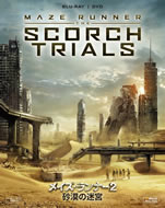 maze_runner_the_scorch_trials_rental